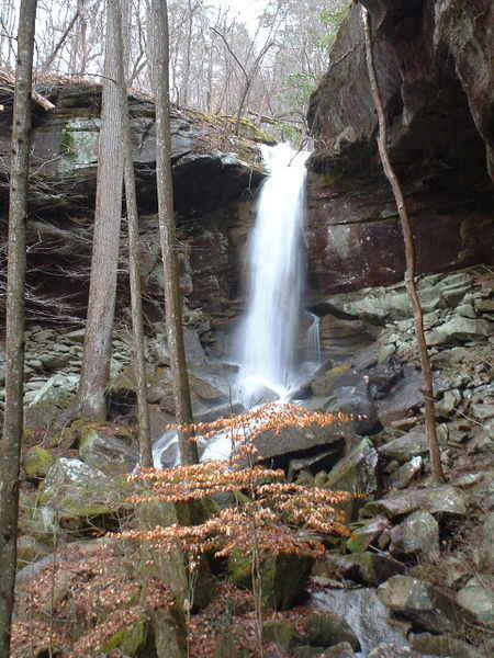 West Bee Falls in Sipsey Wilderness