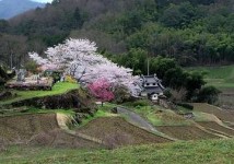 Japan Countryside